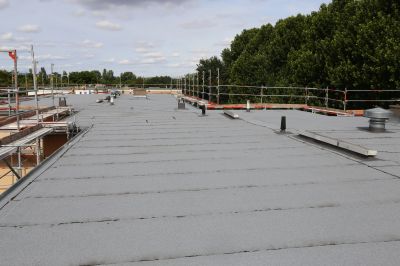 Single Ply Roof Replacement